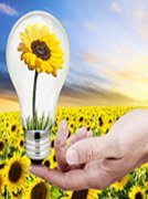 思源電氣首次覆蓋深度報告：民營電網設備龍頭，業績多年穩定增長